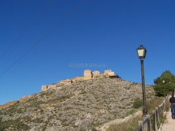 Castillo de Pliego 2009